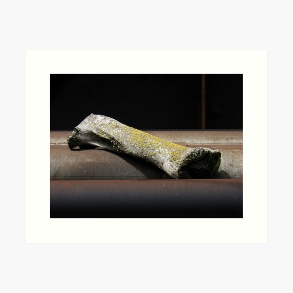 Item preview, Beef Bone (Other Views) 1 designed and sold by Honario.