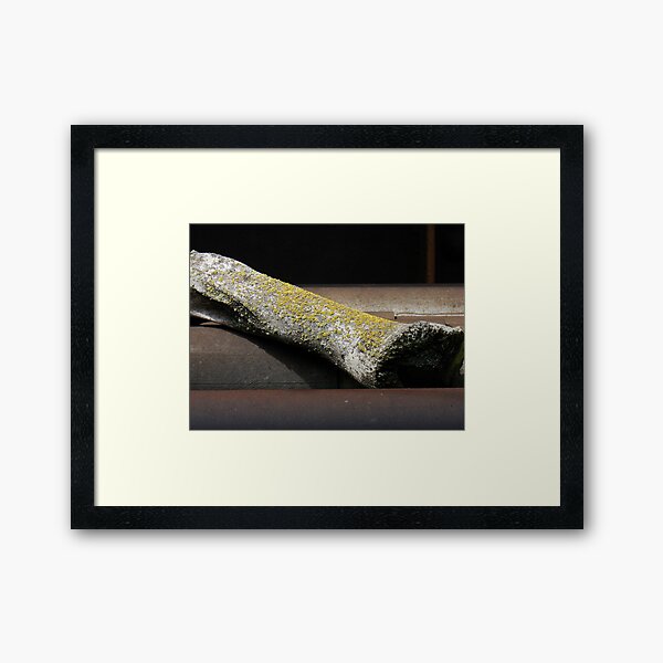 Item preview, Beef Bone (Other Views) 2 designed and sold by Honario.