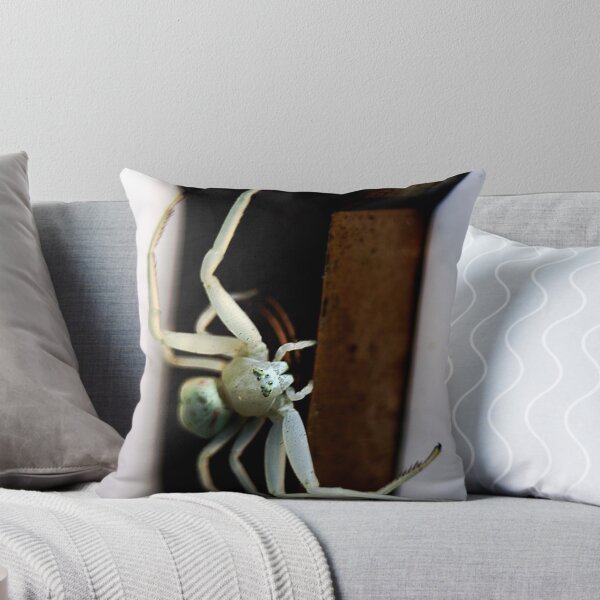 Artikelvorschau, White crab spider entworfen und verkauft von Doug McRae.
