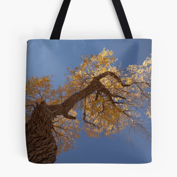 Item preview, populus euphratica 06 designed and sold by hkavmode.
