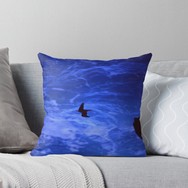 Item preview, solo flight designed and sold by Coastwind Photography.