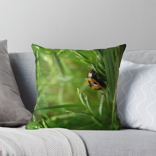 Artikelvorschau, Ladybird entworfen und verkauft von DJD79.