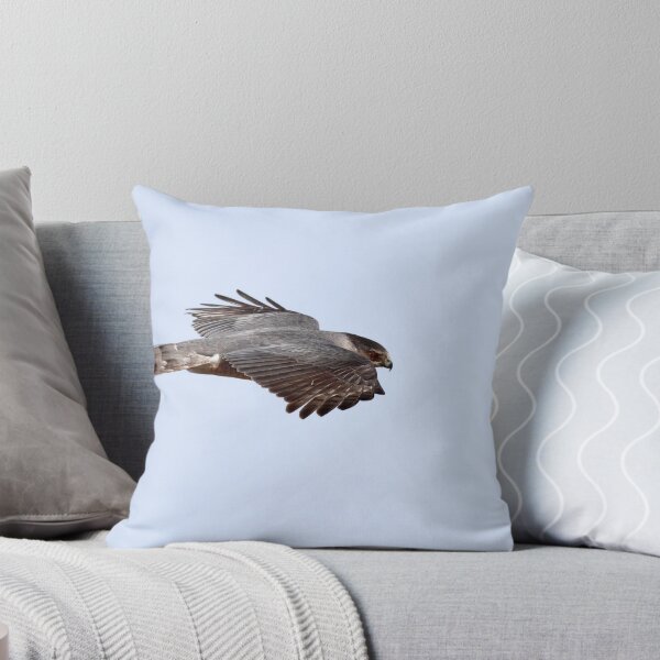 Item preview, Natural Born Killer / Mature Coopers Hawk designed and sold by Gary Fairhead.