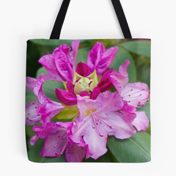 Aperçu de l'œuvre Rhododendron créée et vendue par Berk Nash.