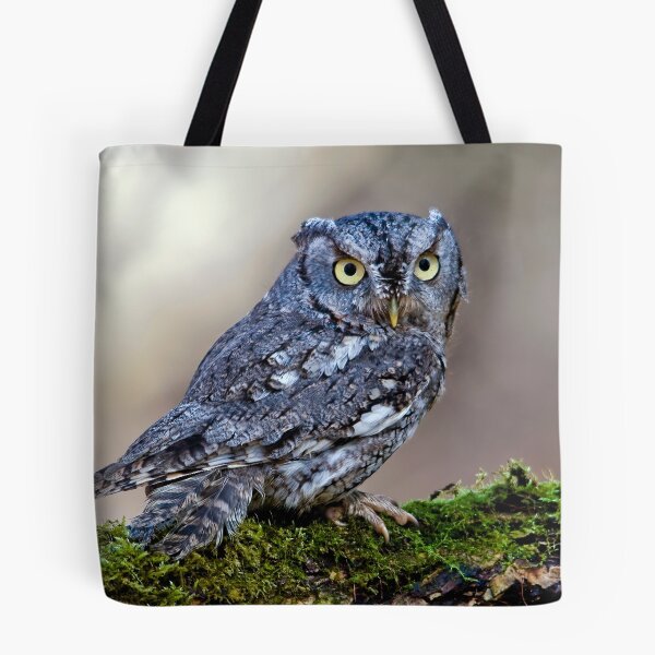 Aperçu de l'œuvre Screech Owl créée et vendue par Sue Ratcliffe.