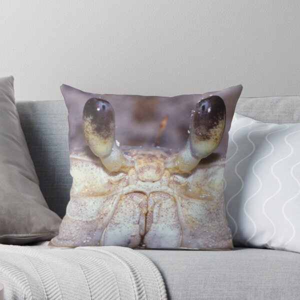 Item preview, Eyes of Ghost Crab, Ocypode quadrata, Mexico, Yucatan designed and sold by Michal Cerny.