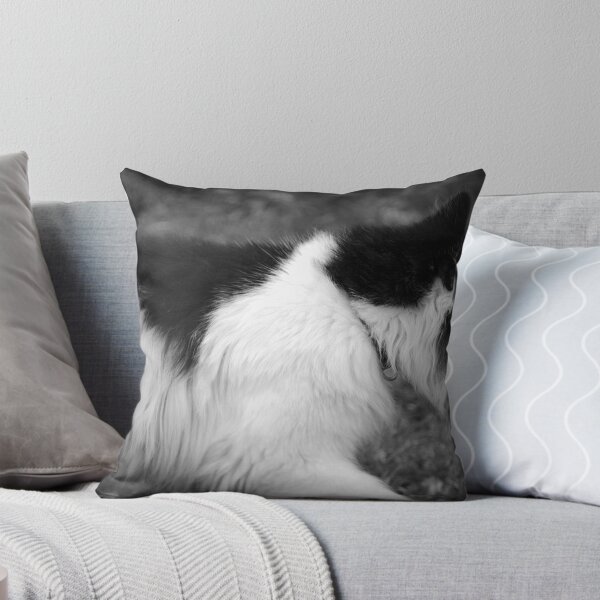 Item preview, Othello on the Prowl designed and sold by April May Maple.