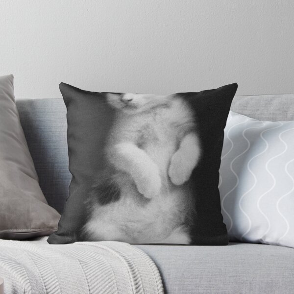 Item preview, Our Kitten Posing like a 1940's bombshell. designed and sold by Dirk Michael Dudat.