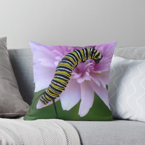 Wandering Throw Pillow