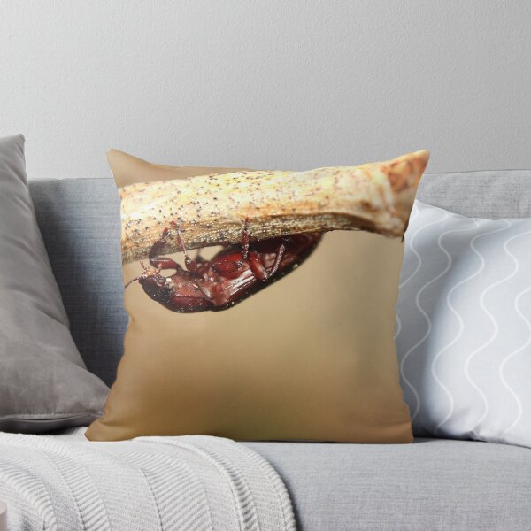 Item preview, Darkling Beetle  designed and sold by Melissa Ann Blair.
