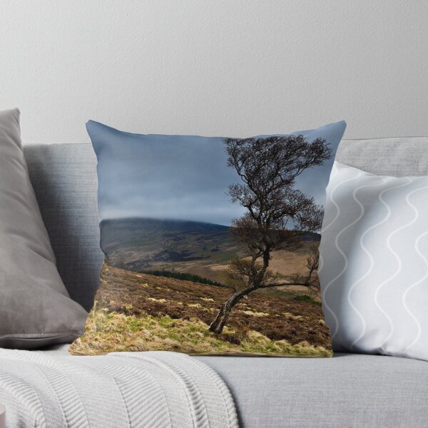 Item preview, The Cheviot & The Tree. Northumberland. UK designed and sold by David Lewins.