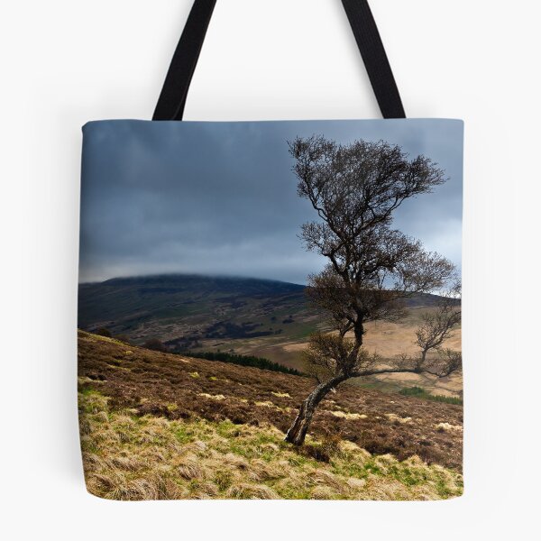 Item preview, The Cheviot & The Tree. Northumberland. UK designed and sold by David Lewins.