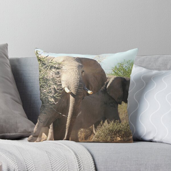 Item preview, "Uneasy" - African elephant (Loxodonta africana) Botswana designed and sold by Sandy Beaton.