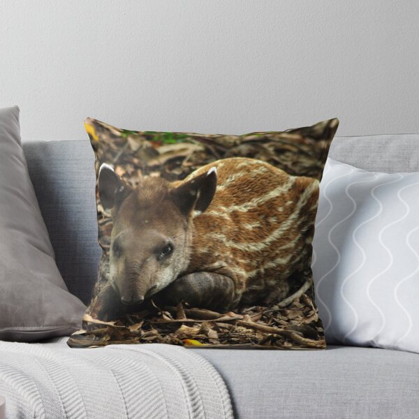 Vista previa del artículo con la obra «Tapir de tierras bajas (Tapirus terrestris) - Bolivia», diseñado y vendido por Jason Weigner.