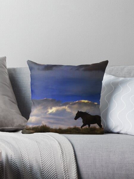 The Beauty Is In The Journey Throw Pillow
