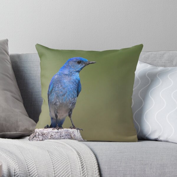 Black-eyed Beauty Throw Pillow