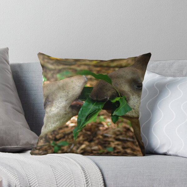 Item preview, Lowland Tapirs (Tapirus terrestris) - Bolivia  designed and sold by Jason Weigner.