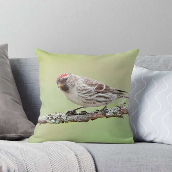 Item preview, Female Common Redpoll. designed and sold by Daniel Cadieux.