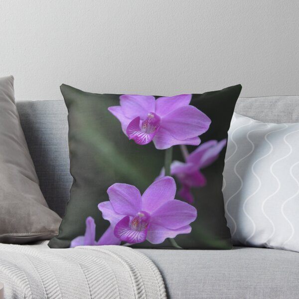 Artikelvorschau, World of Orchids Plate No. # 40 entworfen und verkauft von Matsumoto.