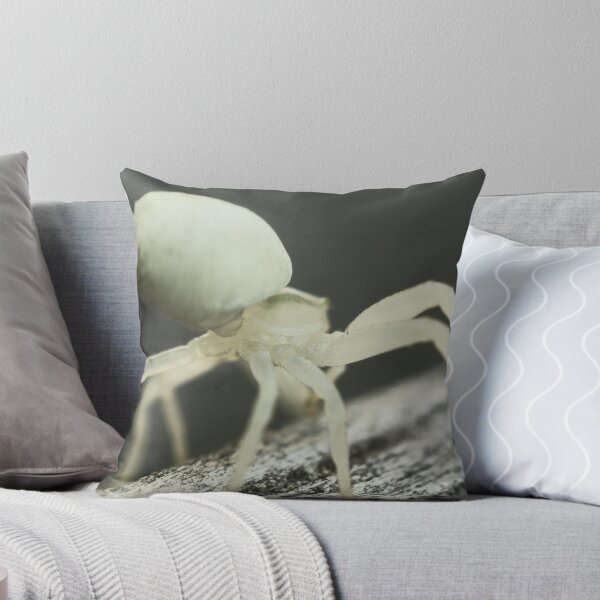 Item preview, Macro Spider 8 designed and sold by Sam Mortimer.