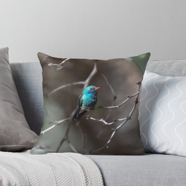 Item preview, Broad Billed Hummingbird designed and sold by Stephanie Hazen.