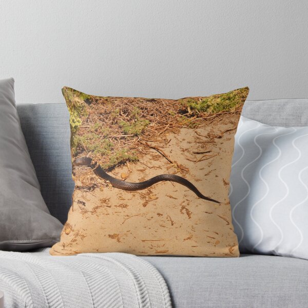 Item preview, The disappearing tiger snake at Lights Beach designed and sold by georgieboy98.