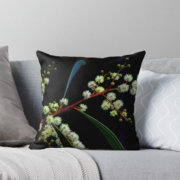 Item preview, Acacia falcata  designed and sold by andrachne.
