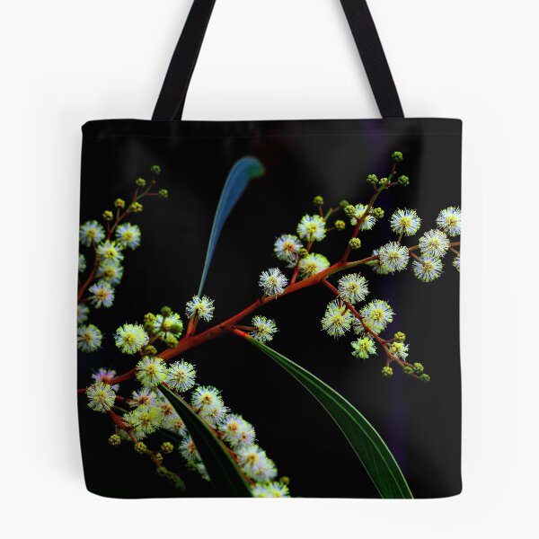 Item preview, Acacia falcata  designed and sold by andrachne.