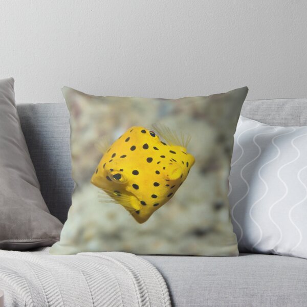 Item preview, Black-spotted boxfish designed and sold by MotHaiBaPhoto Dmitry & Olga.