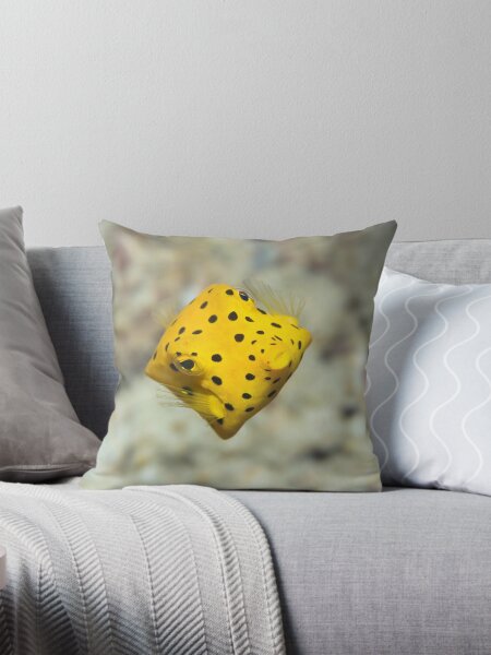 Item preview, Black-spotted boxfish designed and sold by MotHaiBaPhoto Dmitry & Olga.