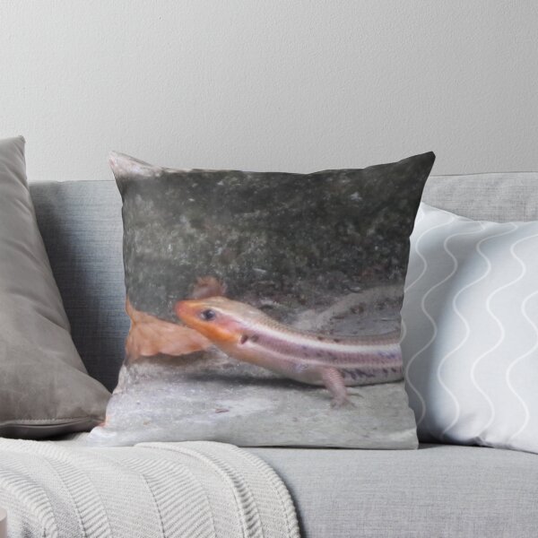 Item preview, Lizzy the Lizard designed and sold by carolinagirl10.