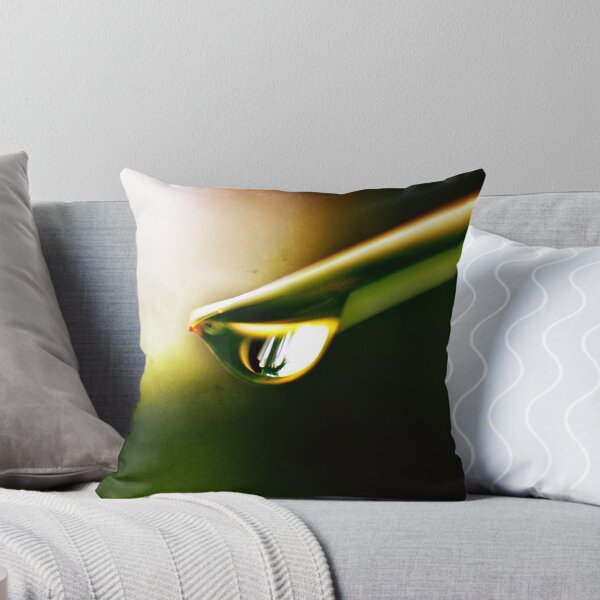 Item preview, Watermarks designed and sold by Dragos Dumitrascu.
