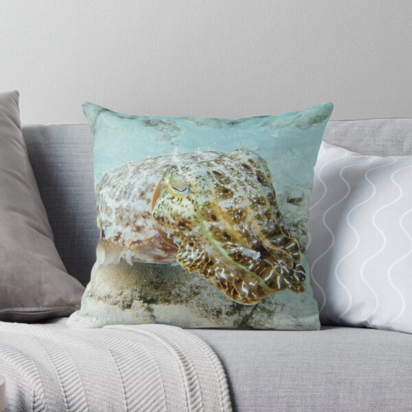 Cuttlefish - Sepia sp. Throw Pillow