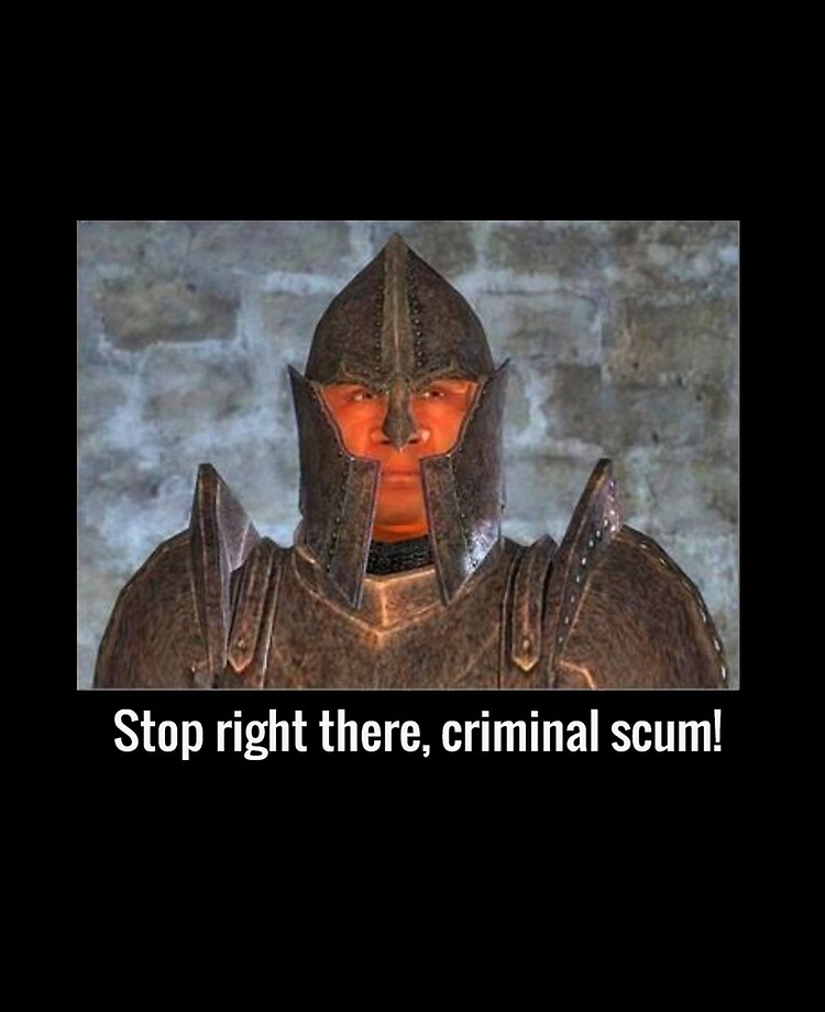 stop right there criminal scum skyrim