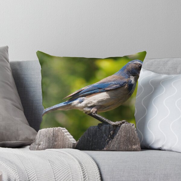 Item preview, Scrub Jay designed and sold by Steve Hunter.