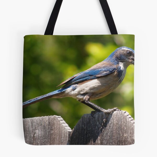 Item preview, Scrub Jay designed and sold by Steve Hunter.