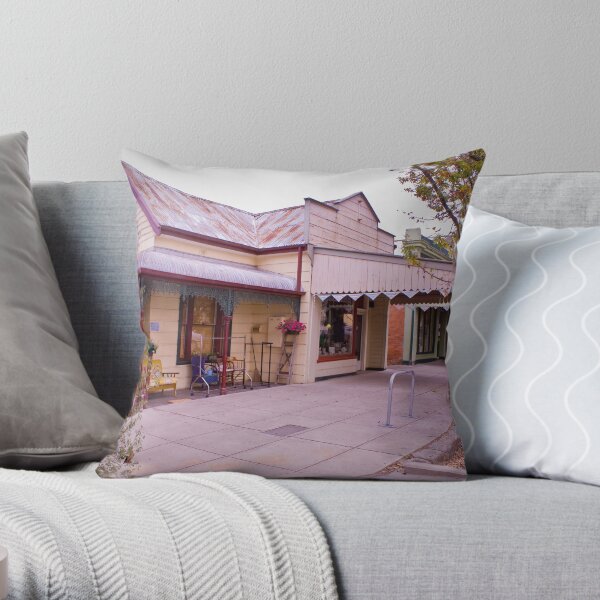 Vintage Ally Throw Pillow