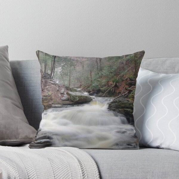 Item preview, The Trail Past Seneca Falls designed and sold by Gene Walls.