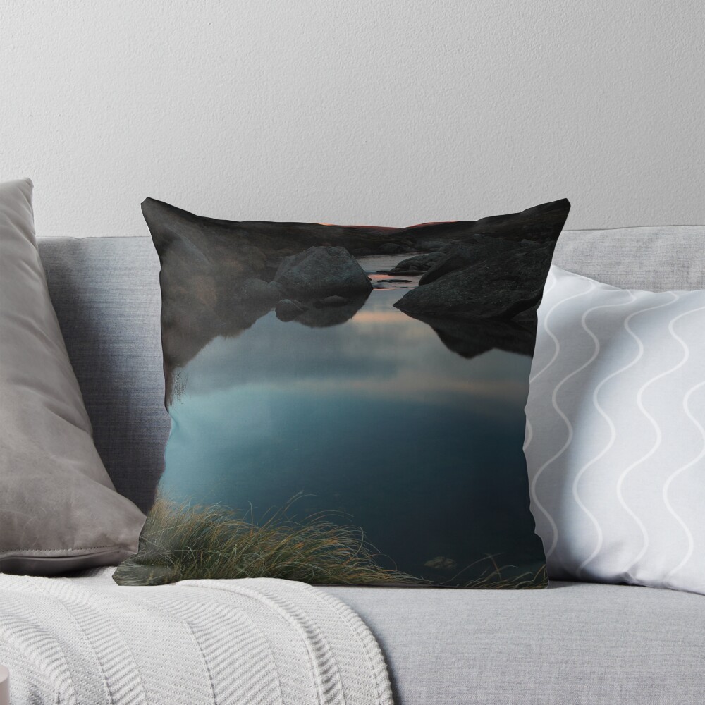 Item preview, Throw Pillow designed and sold by DONWILSON.