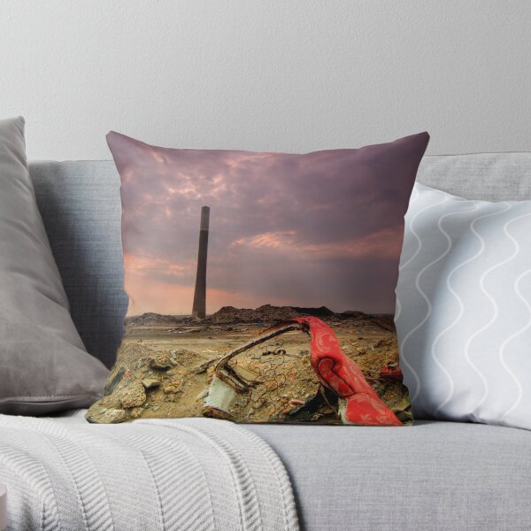 Chair Throw Pillow