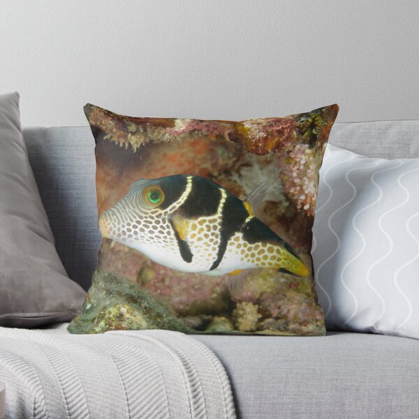 Clown toby - Canthigaster valentini Throw Pillow