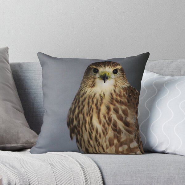Item preview, Merlin Falcon designed and sold by Alyce Taylor.