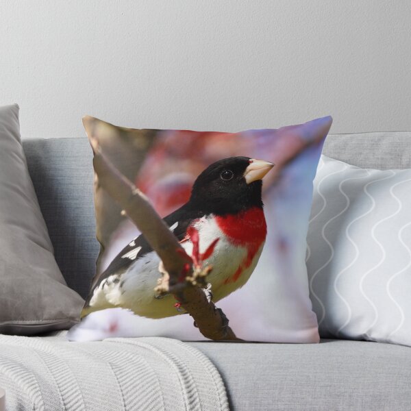 Item preview, Rose-breasted Grosbeak III designed and sold by naturalnomad.