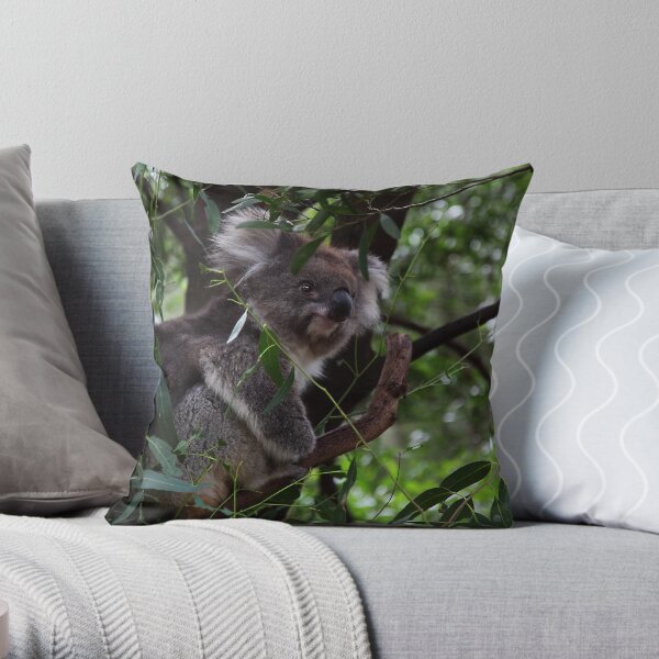 Smiley Throw Pillow