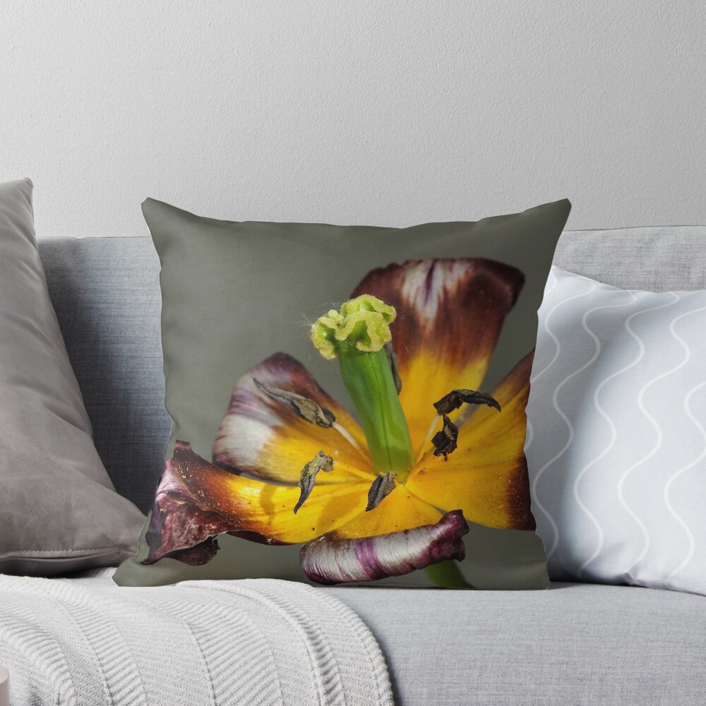 Item preview, Throw Pillow designed and sold by steppeland.