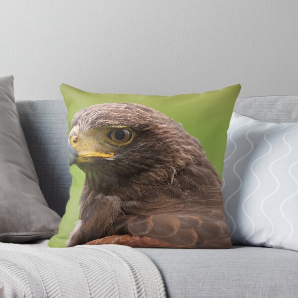 Item preview, Buzzard Head designed and sold by KWTImages.