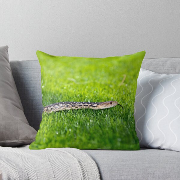 Item preview, Snake in the Grass designed and sold by Robby Ticknor.