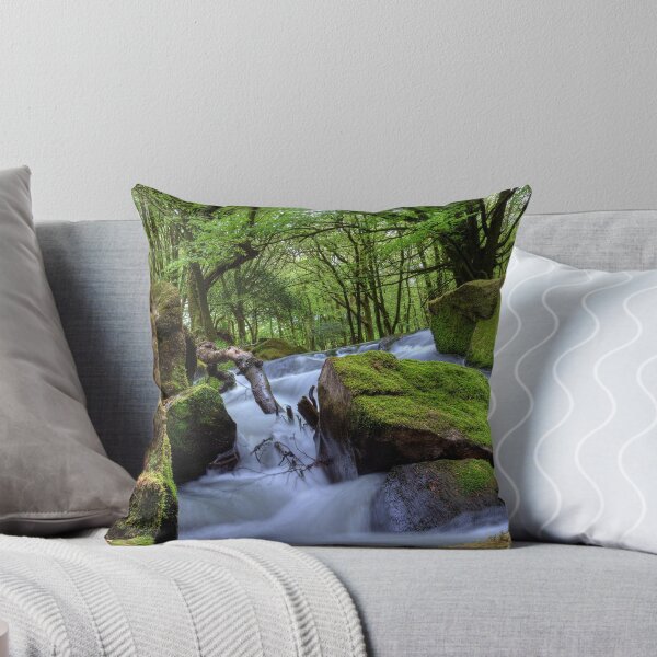 Artikelvorschau, Golitha Falls Bodmin Moor II entworfen und verkauft von David Wilkins.