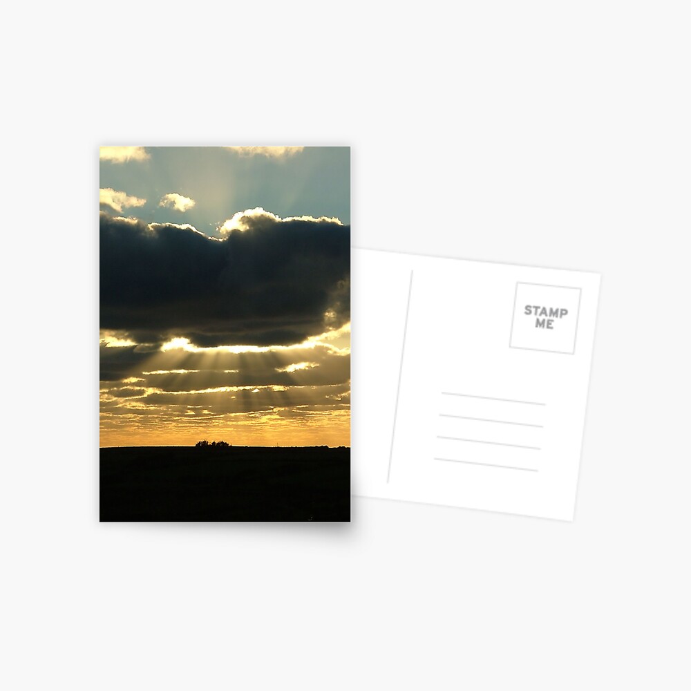 Divine Intervention Postcard