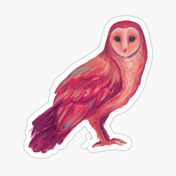 Item preview, Barn Owl Illustration designed and sold by RobainaDesigns.
